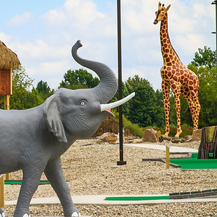 Putt Your Way to Fun – Jungle Joe’s Mini Golf for All Skill Levels
