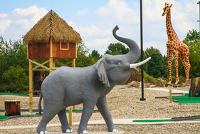 Plan Your Visit to Jungle Joe’s – Where Family Fun Never Ends
