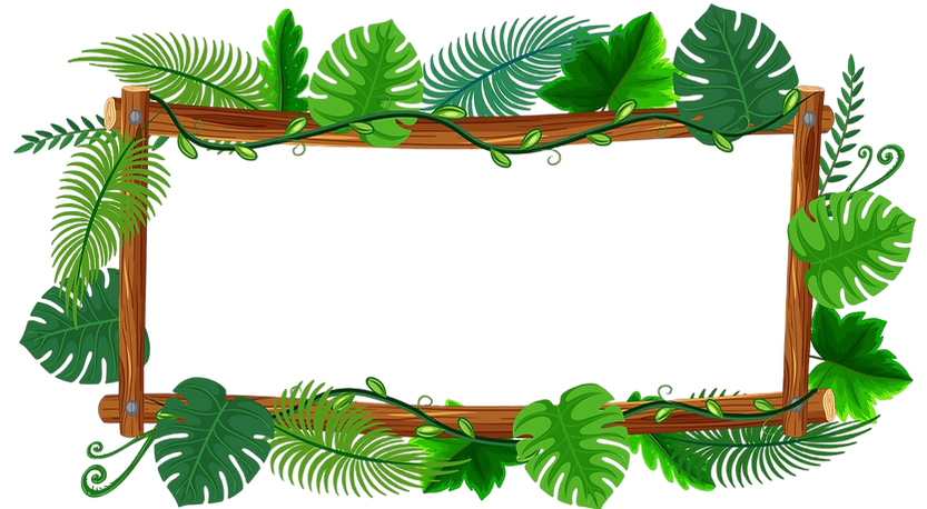 Bamboo tropical fram with jungle leaves