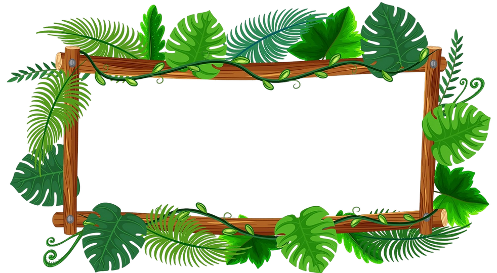 Bamboo tropical fram with jungle leaves