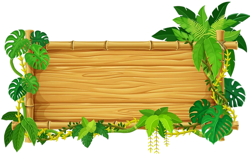 Bamboo tropical fram with jungle leaves